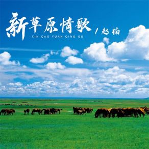 Download track 新草原情歌 (DJ默涵版) 赵楠