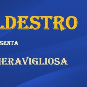 Download track DJ Maldestro - DMX Luce Meravigliosa DJ Maldestro