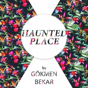 Download track Haunted Place (Original Mix) Gokmen Bekar