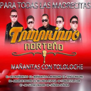 Download track No Sufras Madre Tamarindo Norteño