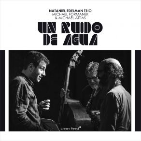 Download track De Cerca Nataniel Edelman Trio