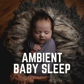 Download track Sweet Lullaby Baby Sleeping Music