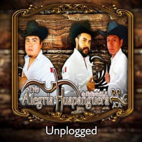 Download track Popurri Huapango Norteño Trio Alegria Huapanguera De Rio Verde S. L. P