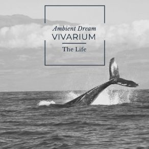 Download track The Idea Vivarium