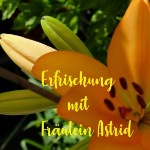 Download track Bodenseefeeling Fraülein Astrid