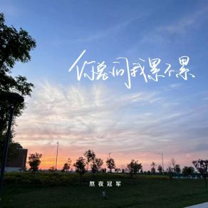 Download track 你总问我累不累 (伴奏) 熬夜冠军