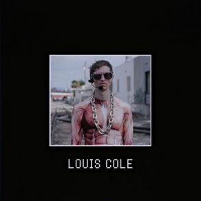 Download track When You're Ugly (Instrumental) Louis ColeΟΡΓΑΝΙΚΟ