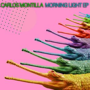 Download track Morning Light (Original Mix) Carlos Montilla