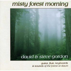 Download track Out Of The Mist David & Steve Gordon