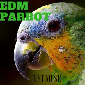 Download track New Forest Digilio EDM