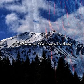 Download track Find Soothing Sleep Spa Music Natural White Noise Sound Therapy