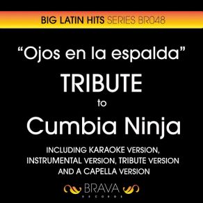 Download track Ojos En La Aspalda (Karaoke Version) [Originally Performed By Cumbia Ninja] Brava HitMakers