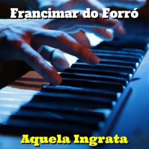 Download track Amei Demais Francimar Do Forró