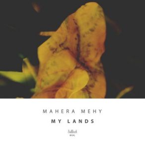 Download track Electronic Doves (Original Mix) Mahera Mehy