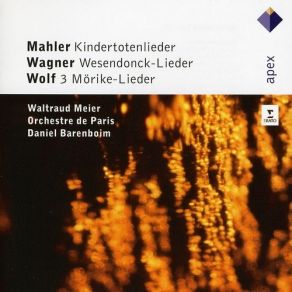 Download track Wesendonck-Lieder: III. «Im Treibhaus» Orchestre De Paris, Waltraud Meier