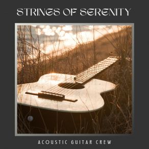 Download track Tranquil Chords Acoustic Guitar Crew