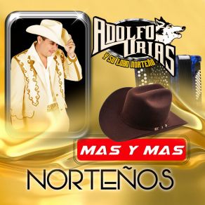 Download track Que Ingrato Es El Amor Adolfo Urias Y Su Lobo Norteño