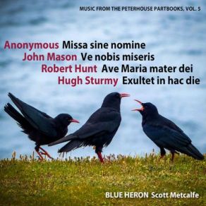 Download track Missa Sine Nomine Agnus Dei Blue Heron, Scott Metcalfe