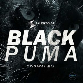 Download track Black Puma Salento DJ