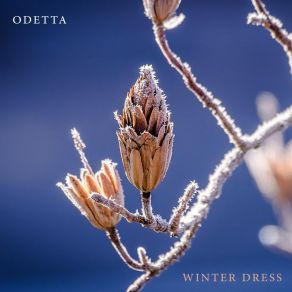 Download track Deep Blue Sea Odetta