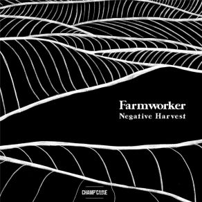 Download track Notes Bird Missed Farmworker