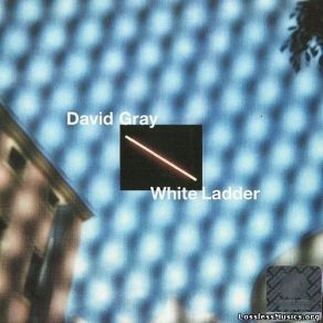 Download track Say Hello Wave Goodbye David Gray