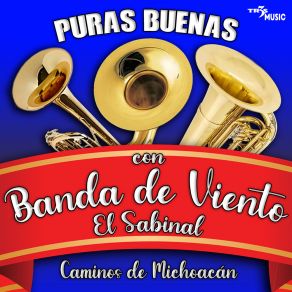 Download track El Cerro Del Fortin Banda De Viento El Sabinal