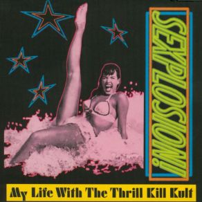 Download track Mystery Babylon My Life With The Thrill Kill Kult