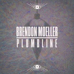 Download track Waking And Dreaming Brendon Moeller