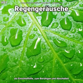 Download track Regengeräusche, Pt. 35 Regengeräusche