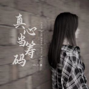 Download track 真心当筹码 (Dj默涵版伴奏) QL一星默涵