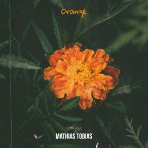 Download track Solsikkegul Mathias Tobias