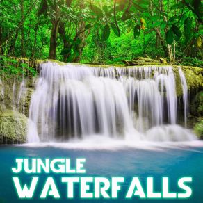 Download track Deep Jungle Waterfall Nature SoundThe Sounds Of Nature, Weather White Noise, Weather Forecast, White Noise Unlimited, Nature Breeze, Nature Essentials