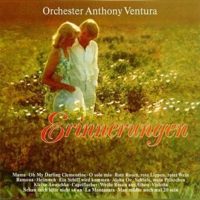 Download track Caprifischer Orchester Anthony Ventura