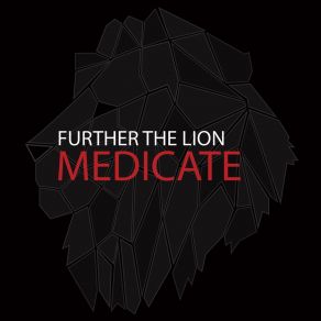 Download track You Oughta Know By Now Further The Lion