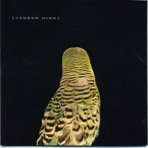 Download track Spare-Ohs Andrew Bird