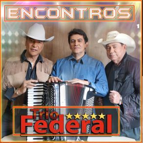 Download track Vim Dizer Adeus Trio FederalCesar Galones