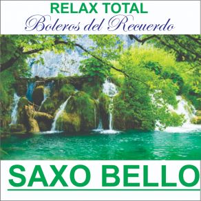 Download track Lisboa Antigua / Lo Dudo (Cover) SAXO BELLO