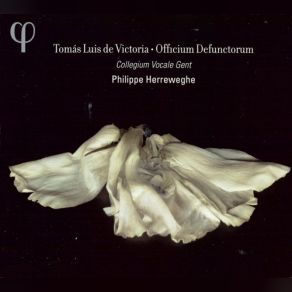 Download track Vadam Et Circuibo Civitatem Collegium Vocale Gent Philippe Herreweghe