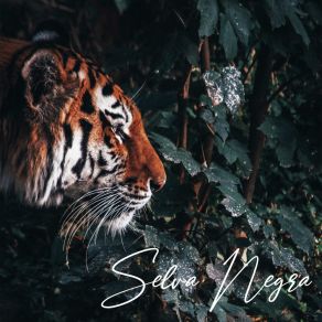 Download track Oso Polar Selva Negra