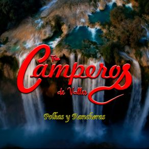 Download track Bailando En Camargo Trio Camperos De Valles