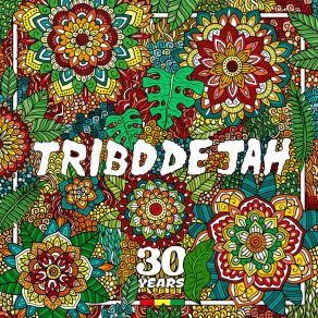 Download track Na Margem Do Jaguaribe Tribo De Jah