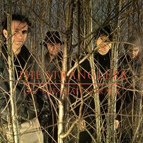 Download track 5 Minutes The Stranglers