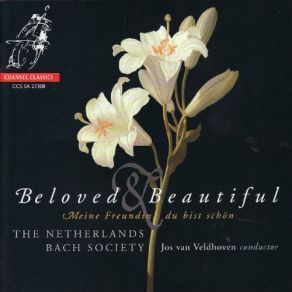 Download track Der Herr Denket An Uns, BWV 196 I. Sinfonia The Netherlands Bach Society, Jos Van Veldhoven