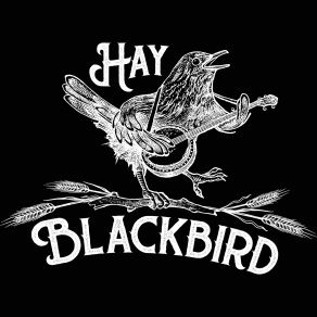 Download track Skillet Good And Greasy Hay Blackbird