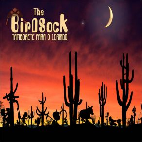 Download track Arraiadas Do Sol Na Boquinha Da Noite Do Sertão The BirDSock