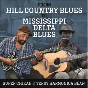 Download track Tin Top Shak Super Chikan, Terry Harmonica Bean