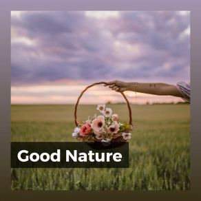 Download track Meditation With Nature, Pt. 9 Nature Sounds Nature Music
