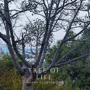 Download track Tree Of Life Happy Cluster One