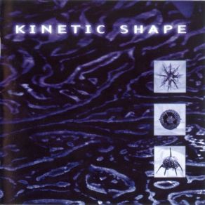 Download track In Disgrace Kinetic Shape